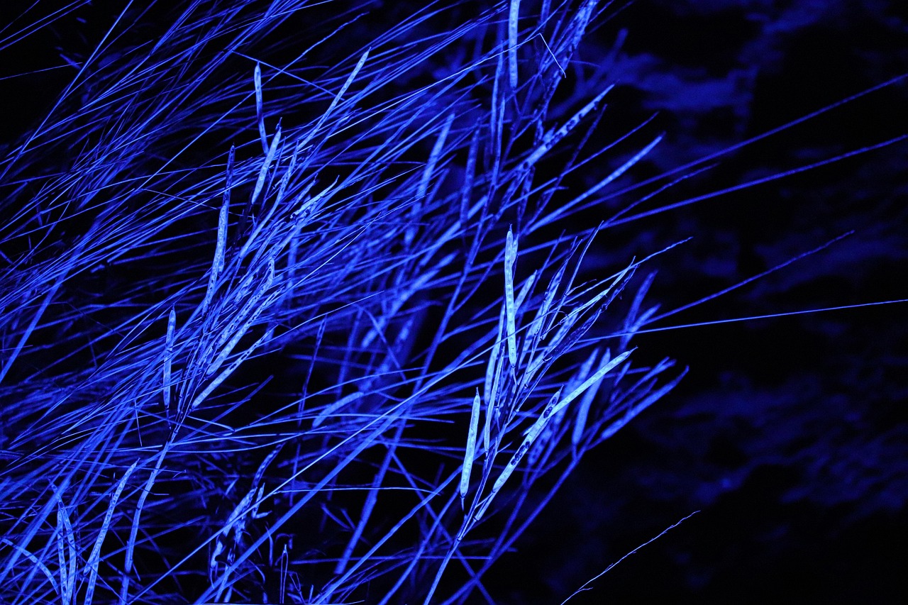 Neon accenten en groene planten in woonkamer. Neon accenten en groene planten in woonkamer.